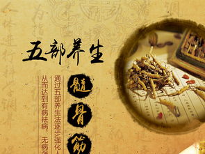 融合中醫養生文化，打造專業展板設計——高清PSD模板助力企業健康服務推廣